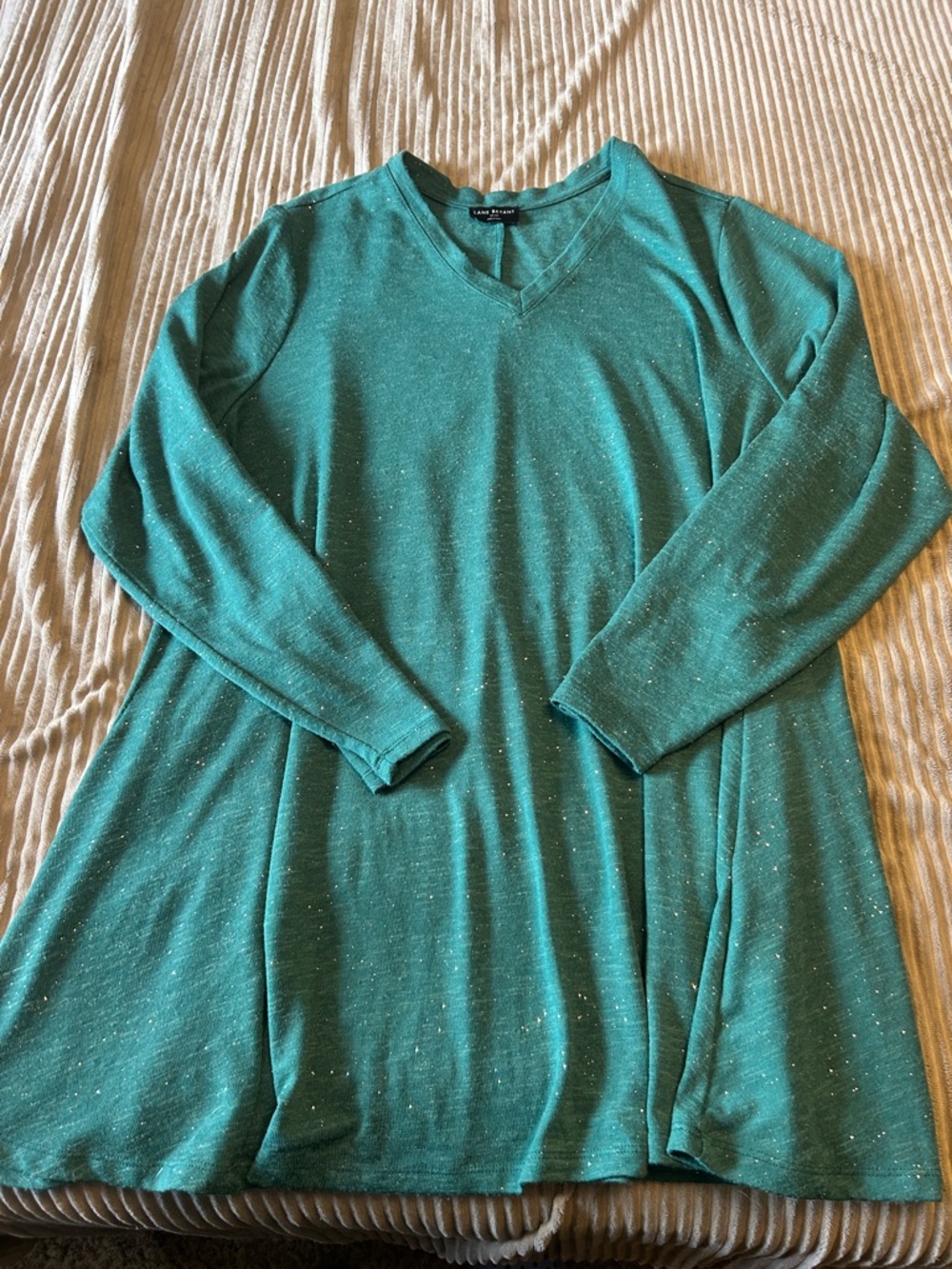 Lane Bryant Teal Speckled V-Neck Long Sleeve Tunic